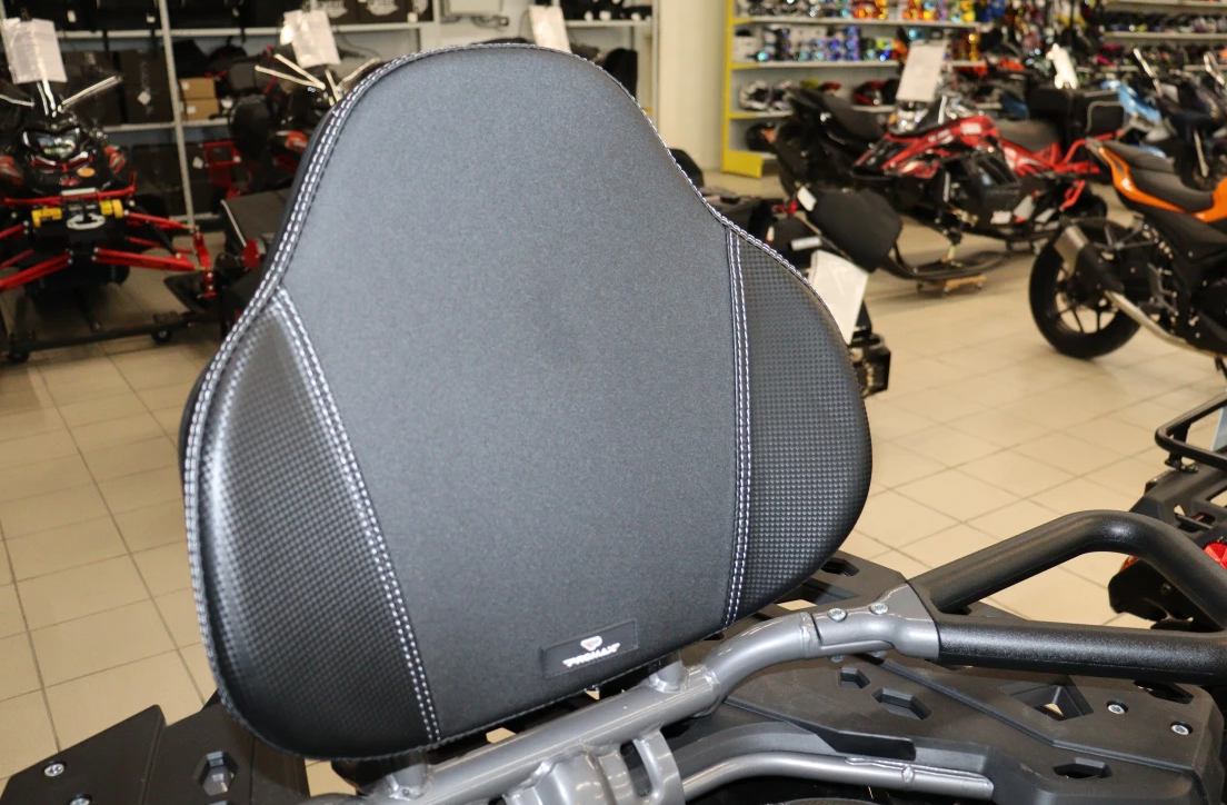 Квадроцикл PROMAX RENEGADE 300 LONG WINCH PRO (2025) в Казани