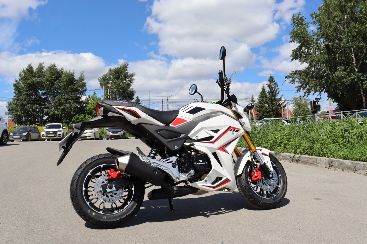Мотоцикл PROMAX STRYKER 200(49) 2.0 в Казани