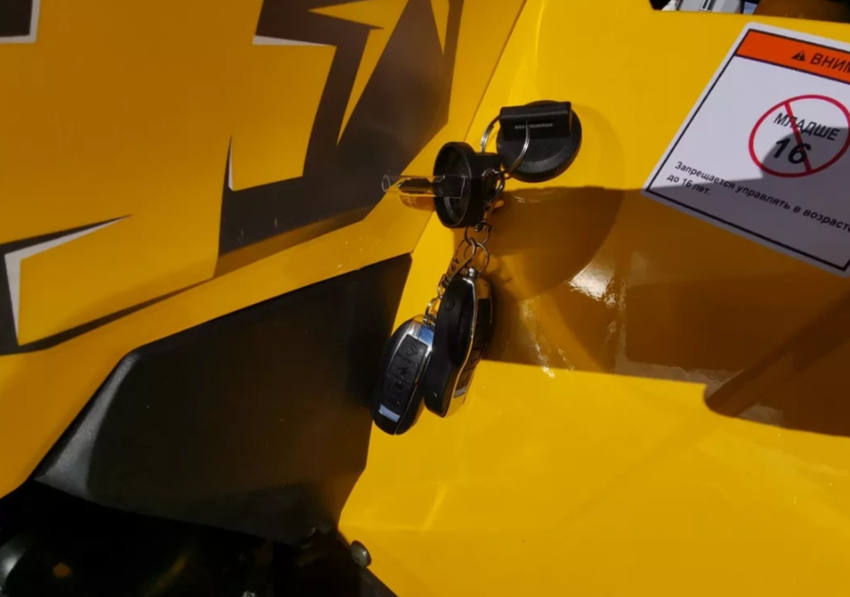 Квадроцикл MOTOLAND (МОТОЛЕНД) VOX200 WILD TRACK X PRO (баланс. вал) в Казани