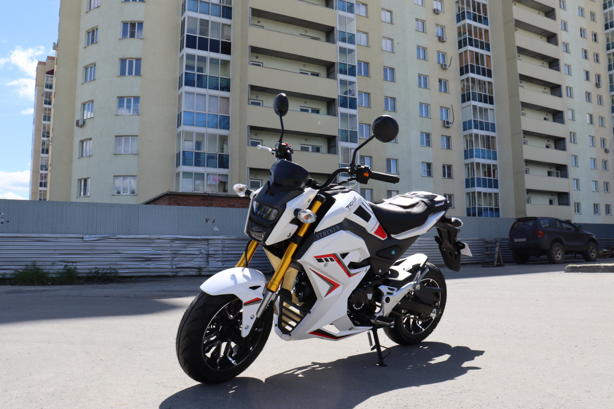 Мотоцикл PROMAX STRYKER 200(49) 2.0 в Казани