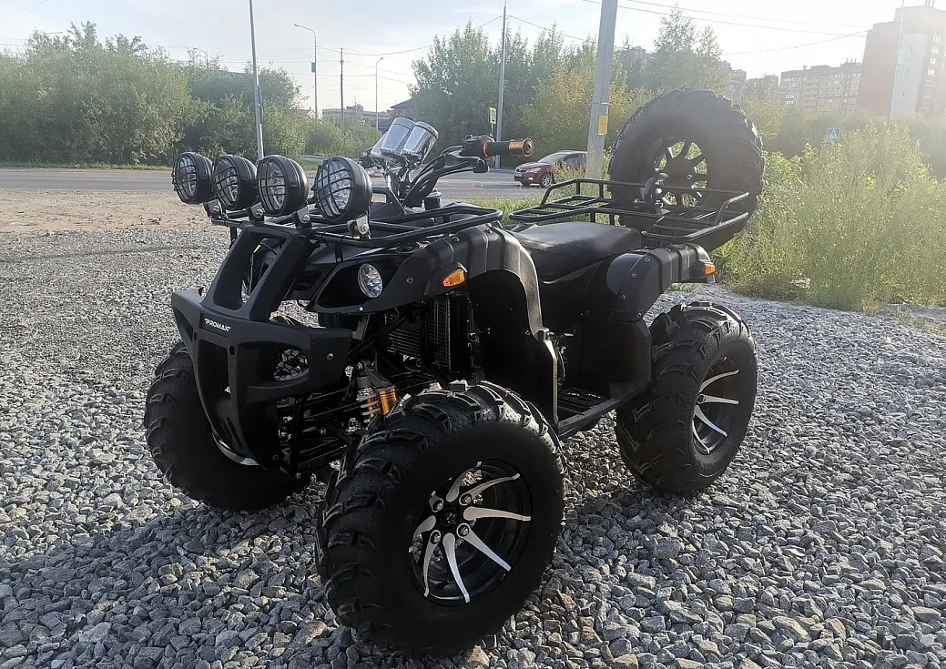 Квадроцикл PROMAX LEO 300 Max (кардан) в Казани