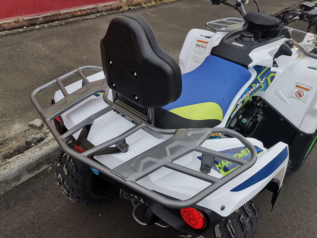 Квадроцикл PROMAX RENEGADE 280 LUX (2025) в Казани