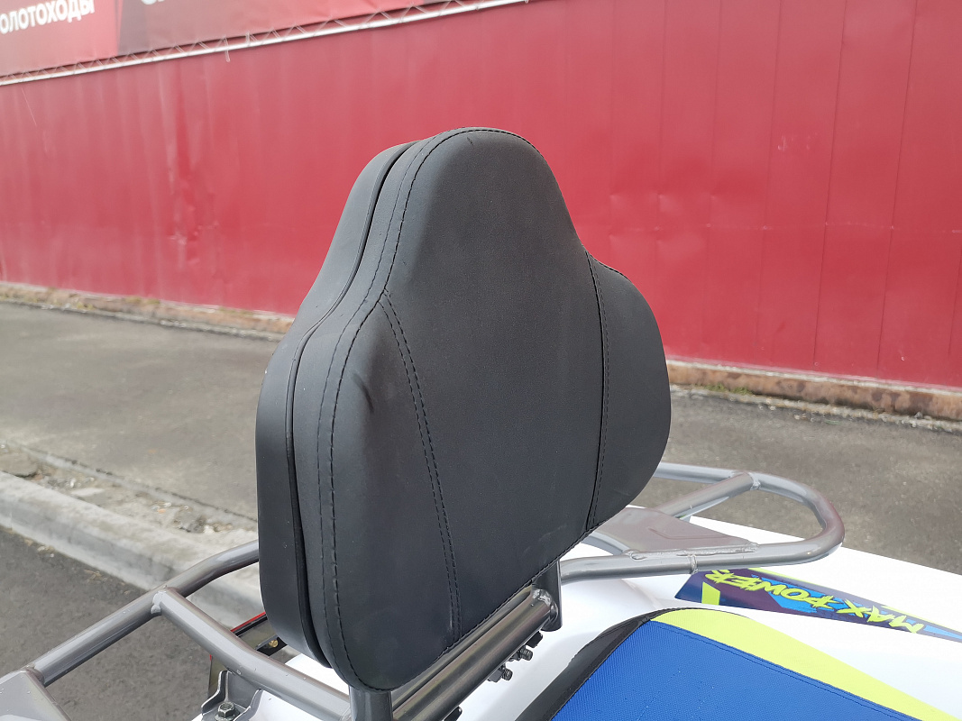 Квадроцикл PROMAX RENEGADE 280 LUX (2025) в Казани