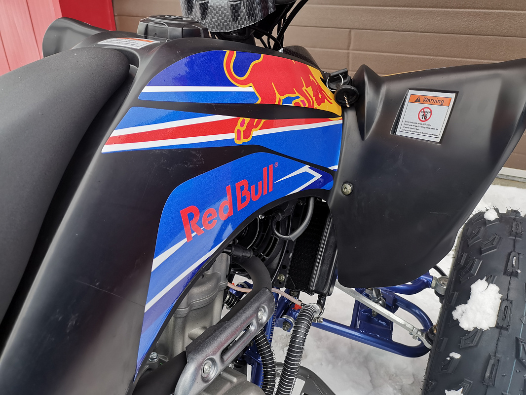 Квадроцикл PROMAX RAPTOR 300 NEW RedBull в Казани