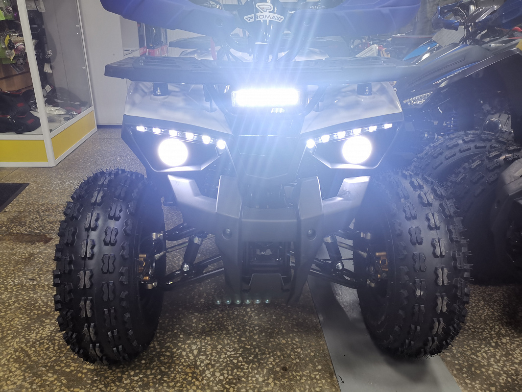 Квадроцикл PROMAX WILD 175 LUX в Казани
