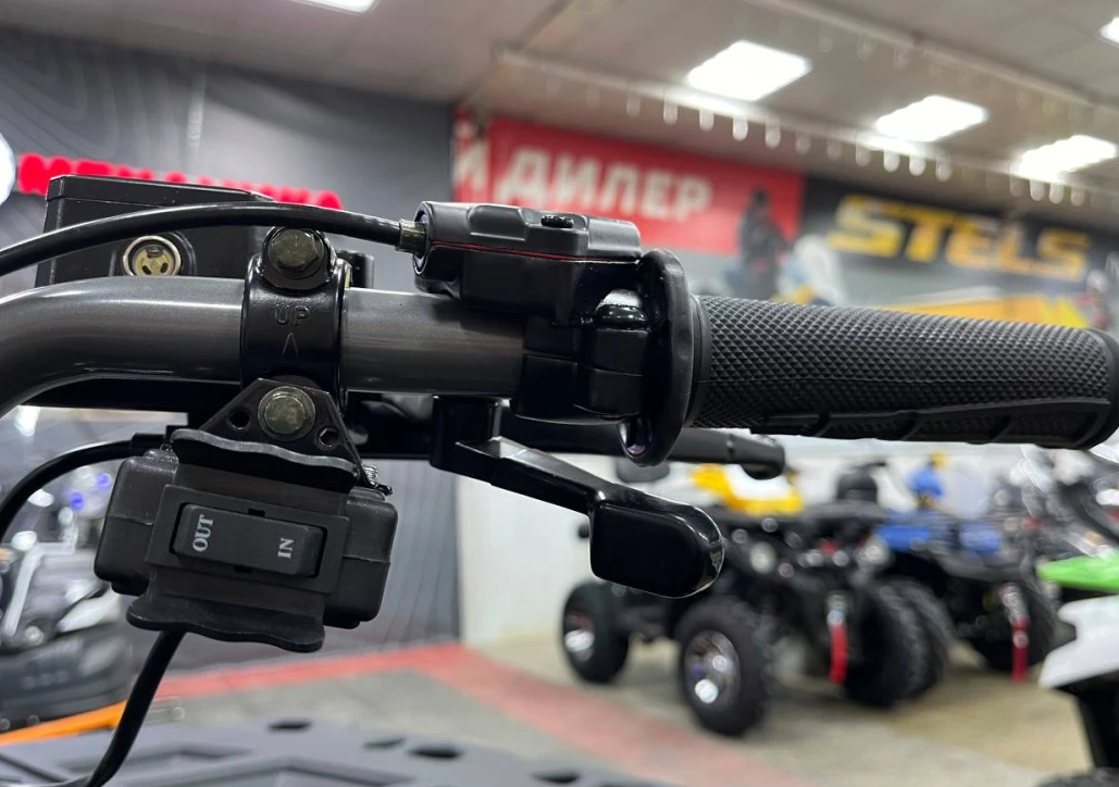 Квадроцикл PROMAX RENEGADE 300 LONG WINCH PRO (2025) в Казани