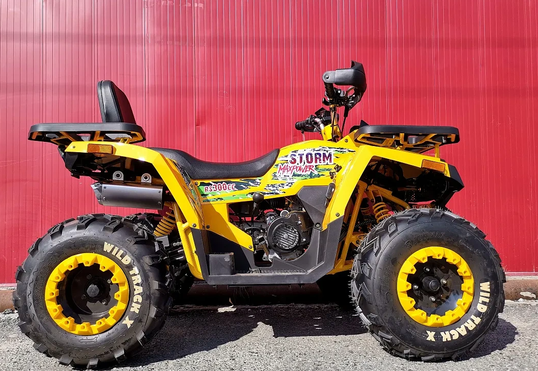 Квадроцикл PROMAX STORM 280 LUX в Казани