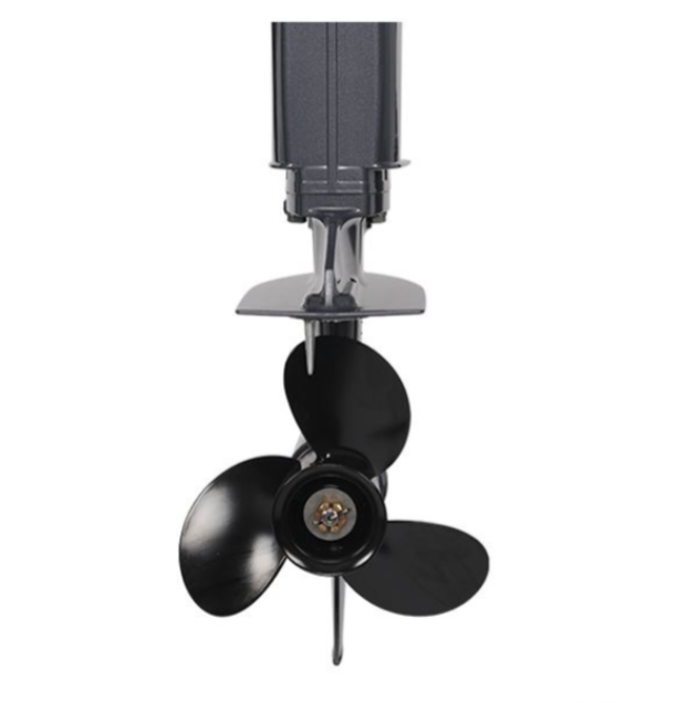 Лодочный мотор ALLFA CG Т40FW S в Казани