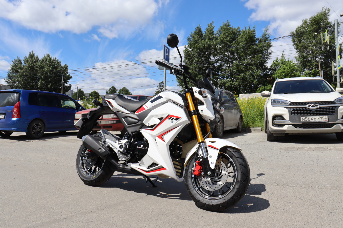 Мотоцикл PROMAX STRYKER 200(49) 2.0 в Казани