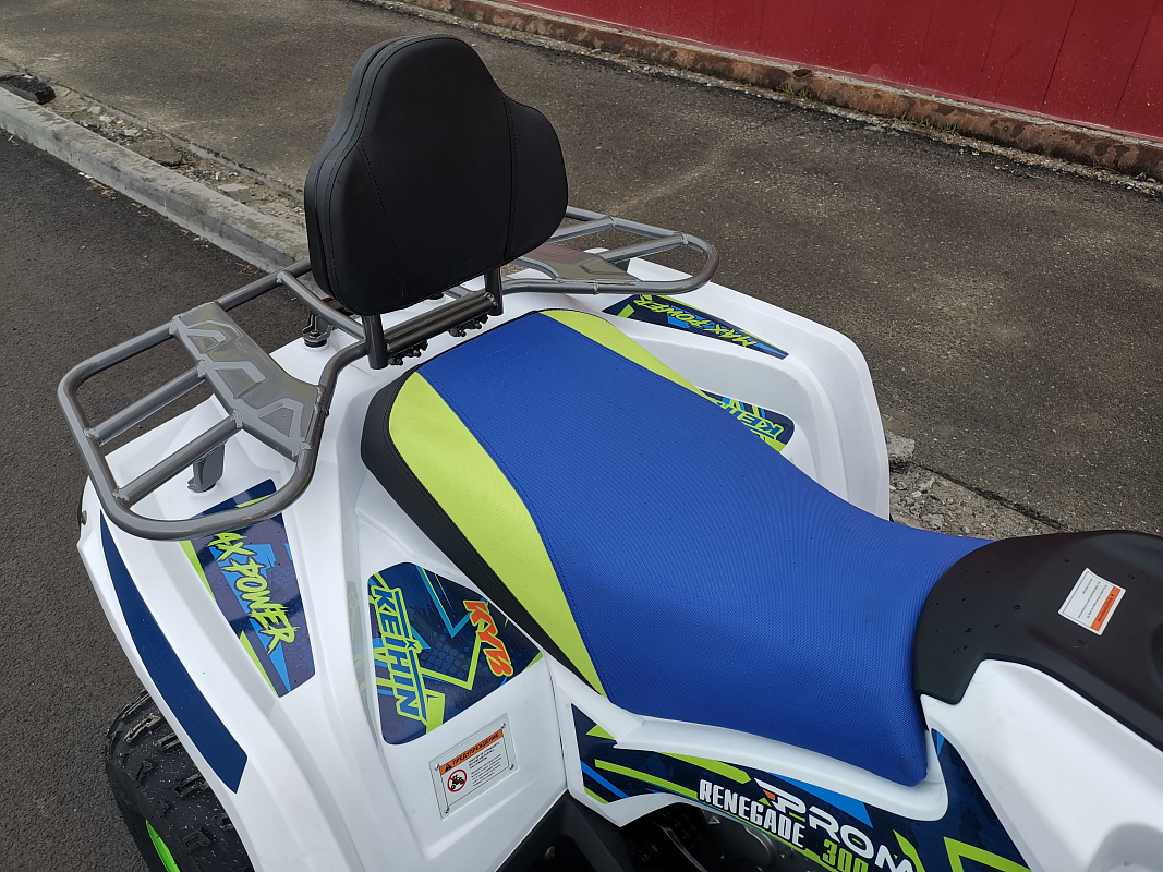 Квадроцикл PROMAX RENEGADE 280 LUX (2025) в Казани