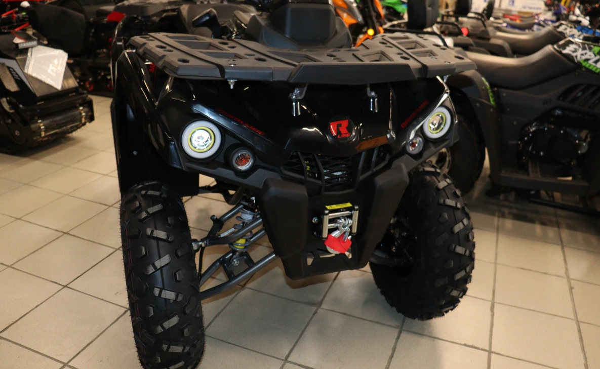 Квадроцикл PROMAX RENEGADE 300 LONG WINCH PRO (2025) в Казани