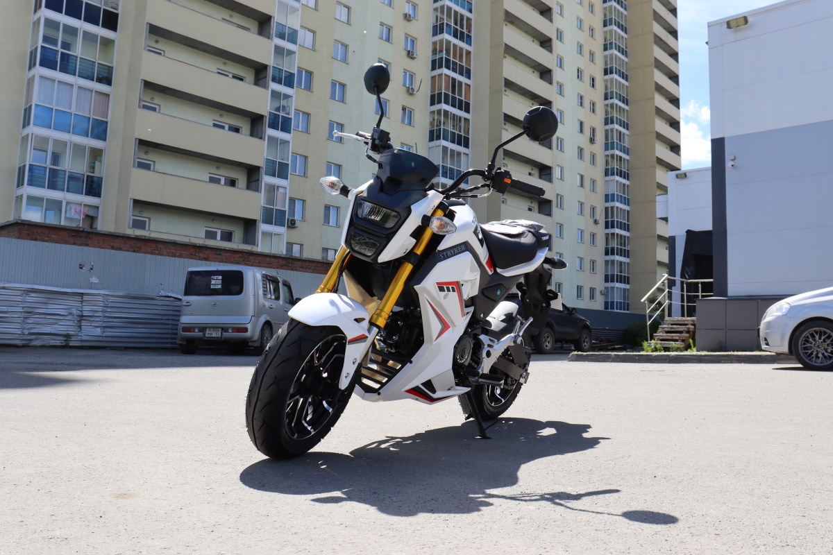 Мотоцикл PROMAX STRYKER 200(49) 2.0 в Казани