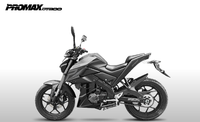 Мотоцикл PROMAX MT300 в Казани