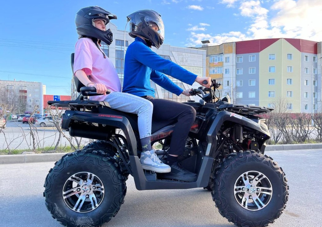 Квадроцикл PROMAX RENEGADE 300 LONG WINCH PRO (2025) в Казани