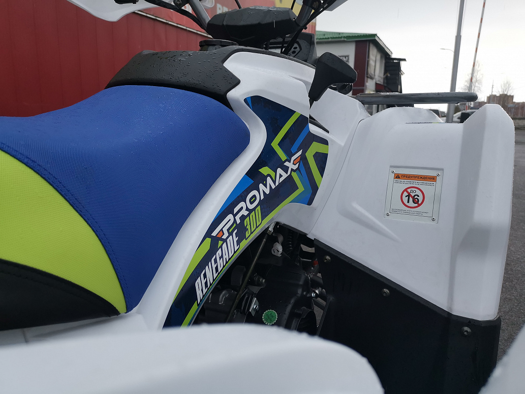 Квадроцикл PROMAX RENEGADE 280 LUX (2025) в Казани