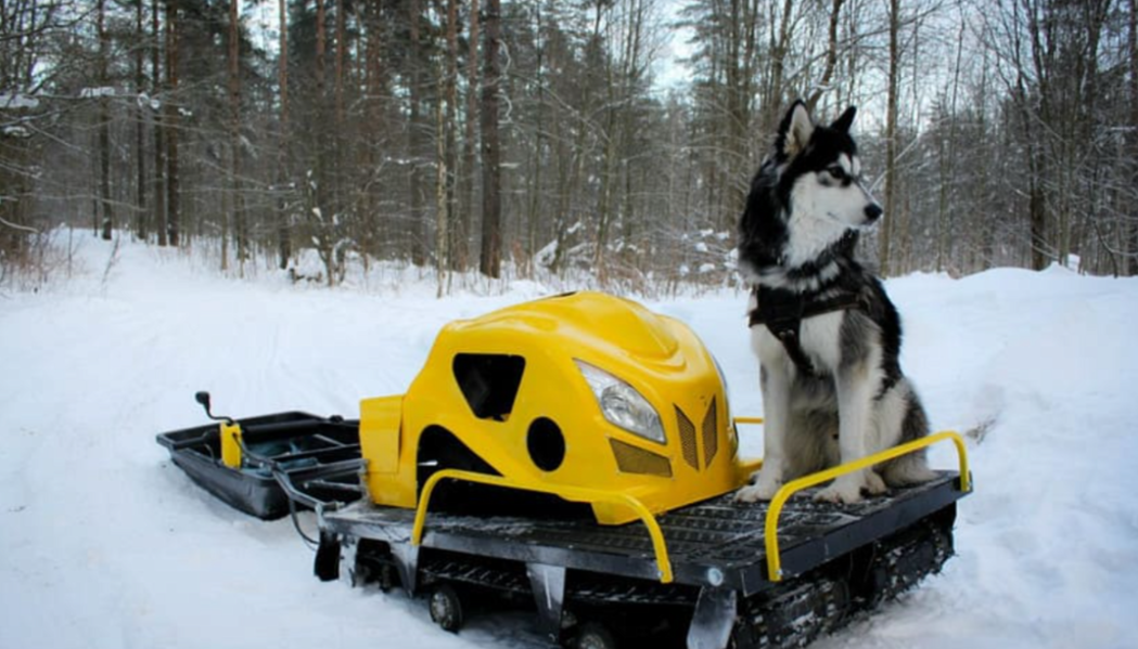 Мотобуксировщик LEBEDEV MOTORS ВОЛКОДАВ POWER V13 в Казани