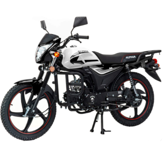 Мопед MOTOLAND (МОТОЛЕНД) Альфа RS 11 (LM48-B) в Казани