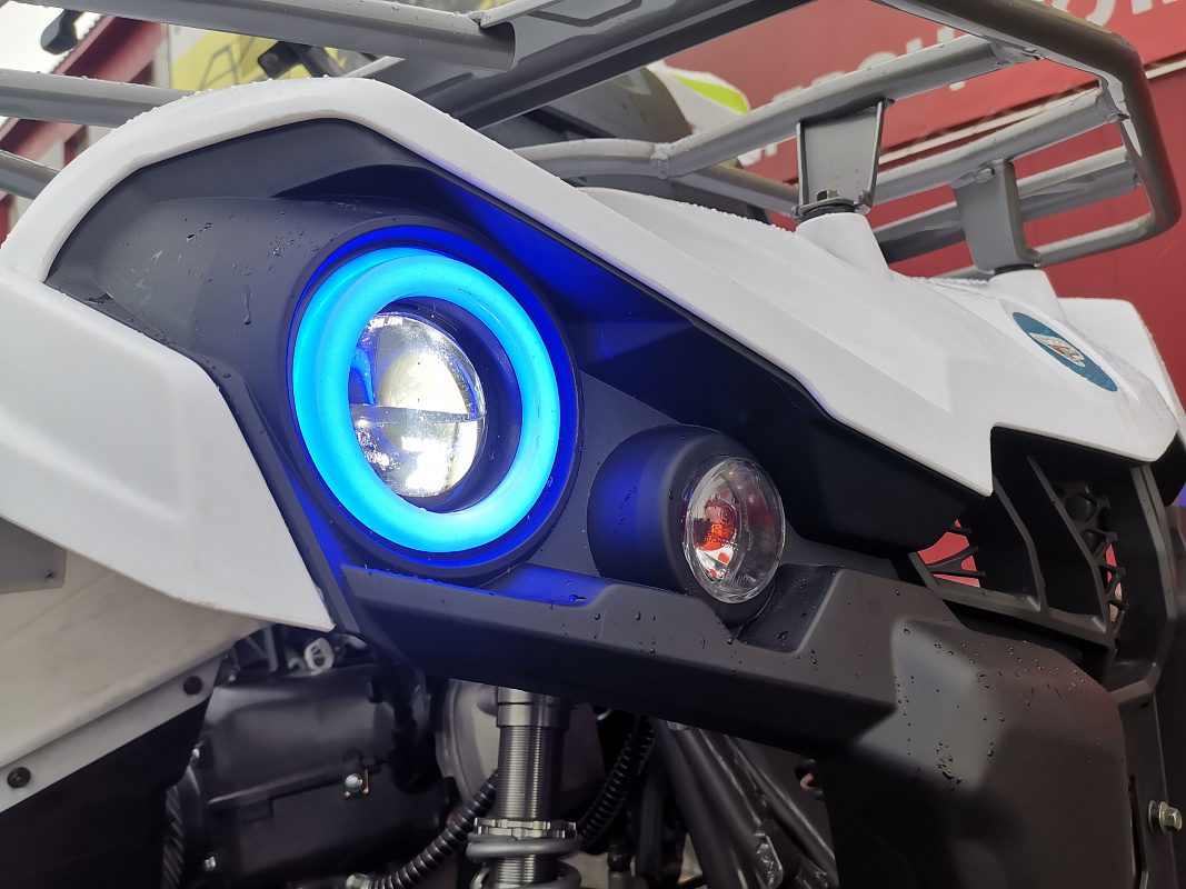 Квадроцикл PROMAX RENEGADE 280 LUX (2025) в Казани