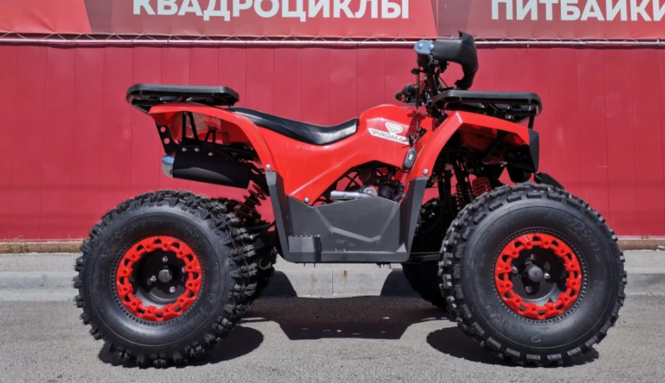 Квадроцикл PROMAX WILD 175 BASIC в Казани