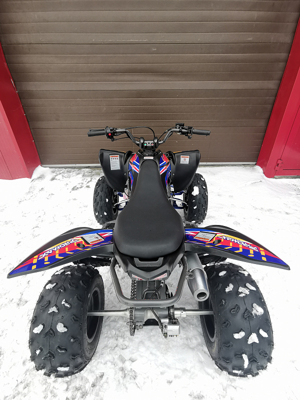 Квадроцикл PROMAX RAPTOR 300 NEW RedBull в Казани
