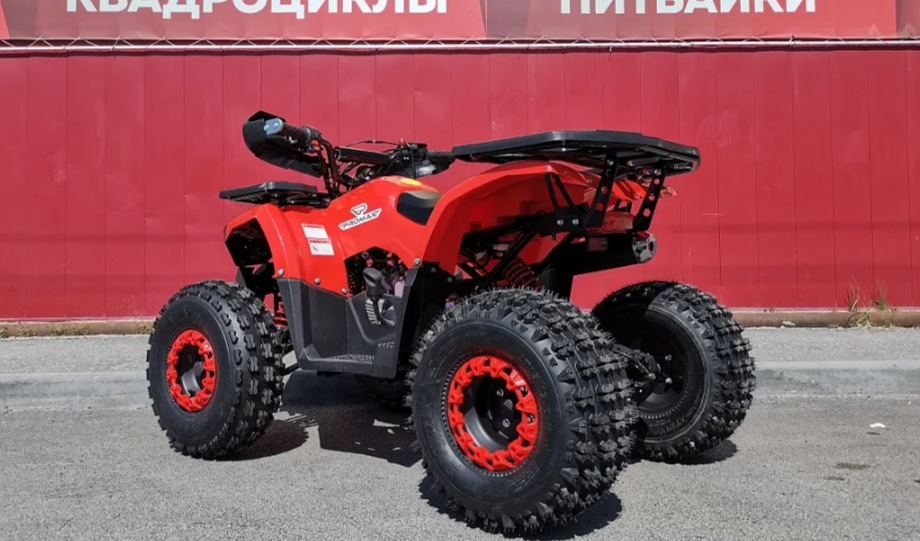 Квадроцикл PROMAX WILD 175 BASIC в Казани