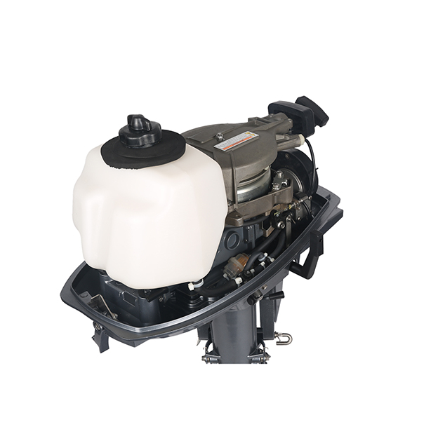 ЛОДОЧНЫЙ МОТОР ALLFA CG T5 в Казани