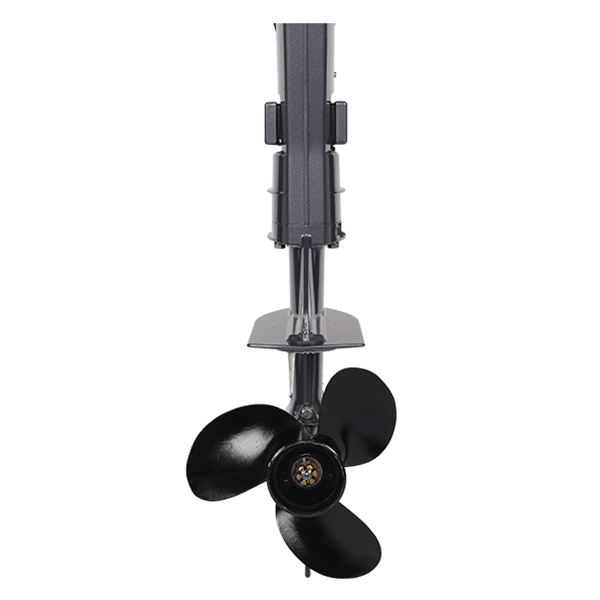 ЛОДОЧНЫЙ МОТОР ALLFA CG T5 в Казани