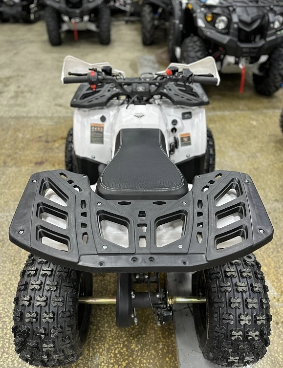 Квадроцикл PROMAX WILD 2.0 190 в Казани