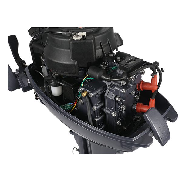 ЛОДОЧНЫЙ МОТОР ALLFA CG Т9,9 Limit в Казани