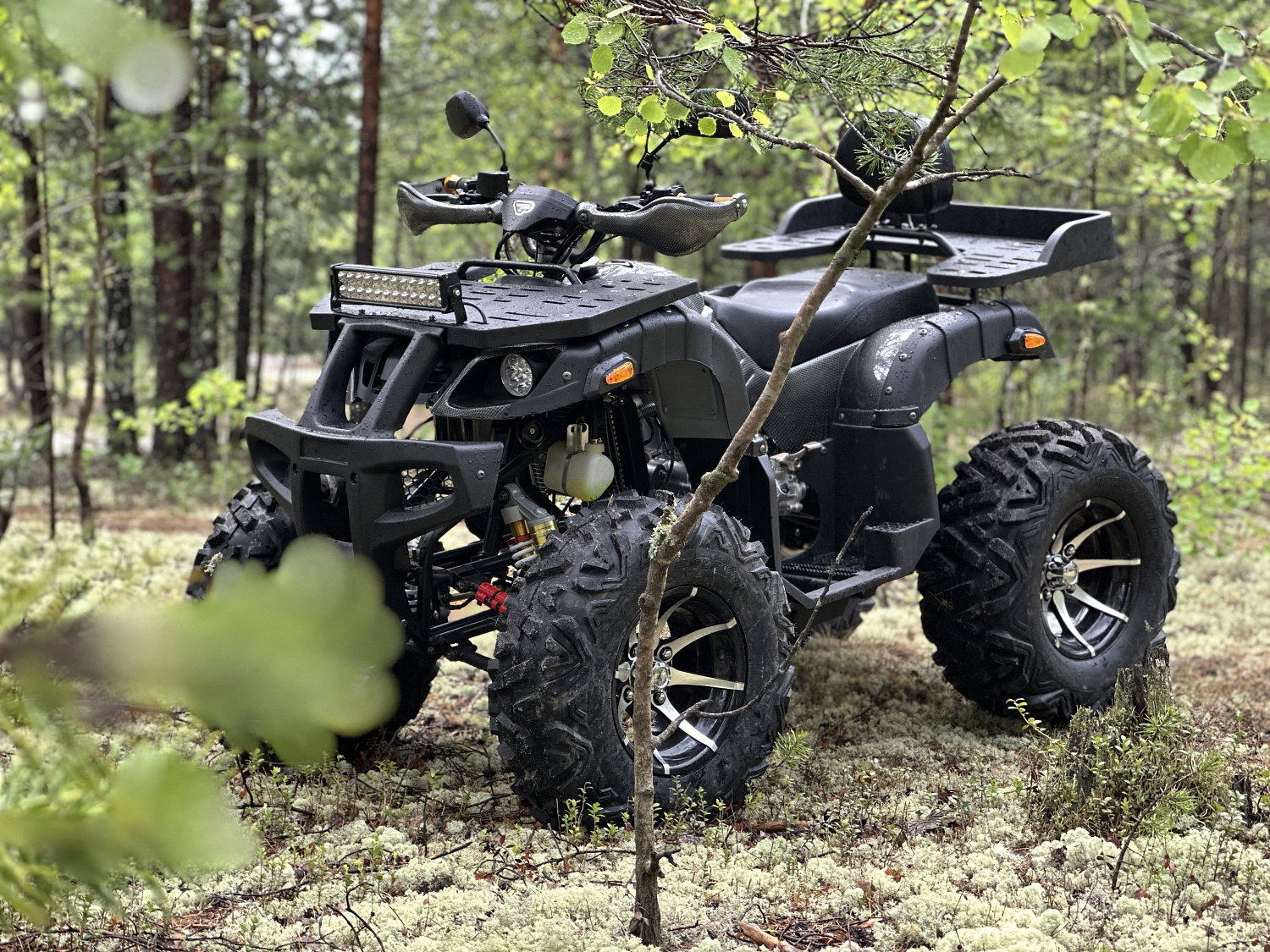 Квадроцикл PROMAX 320 DOMINATOR (2025) в Казани