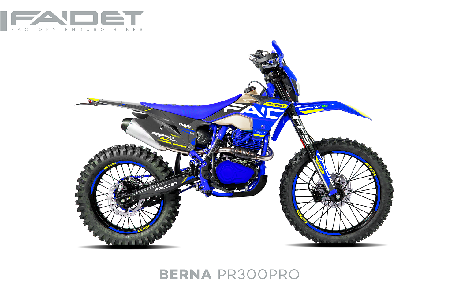 Кроссовый мотоцикл FAIDET BERNA PR300-PRO FPS в Казани