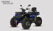 Квадроцикл PROMAX TAURUS 300 MAX-PRO LONG в Казани