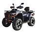 Квадроцикл MOTOLAND (МОТОЛЕНД) 300 MAX X в Казани