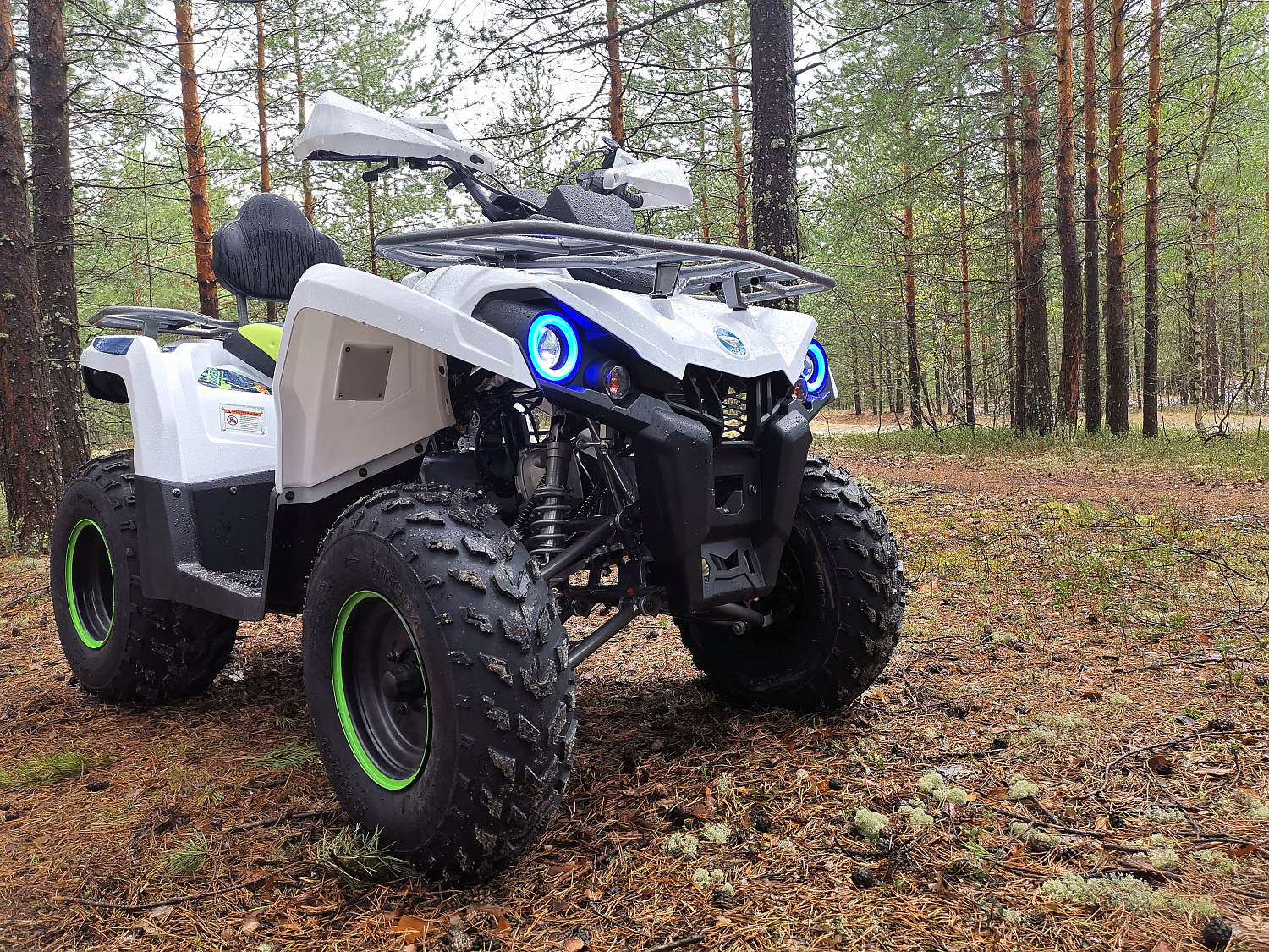 Квадроцикл PROMAX RENEGADE 280 (2025) в Казани
