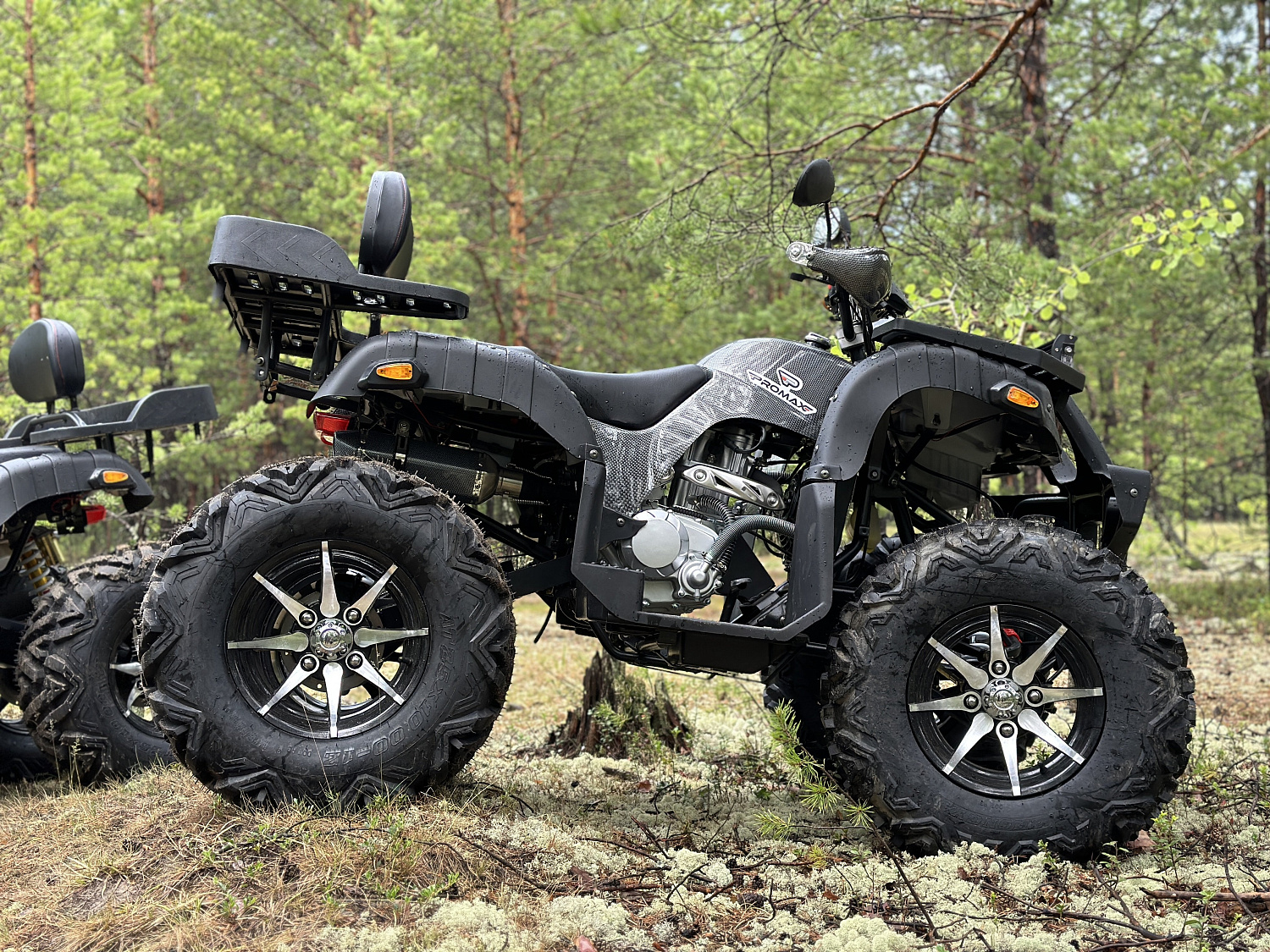 Квадроцикл PROMAX 320 DOMINATOR (2025) в Казани