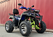  Квадроцикл PROMAX ATV 250 MAX (2025) в Казани