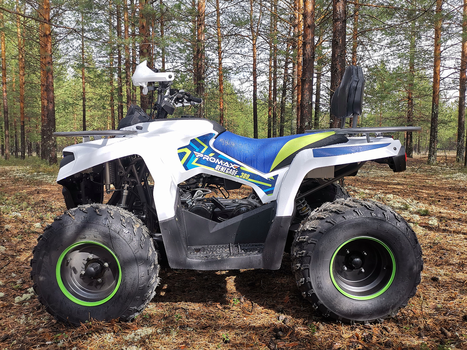 Квадроцикл PROMAX RENEGADE 280 (2025) в Казани