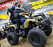 Квадроцикл PROMAX ATV 250 (2025) в Казани