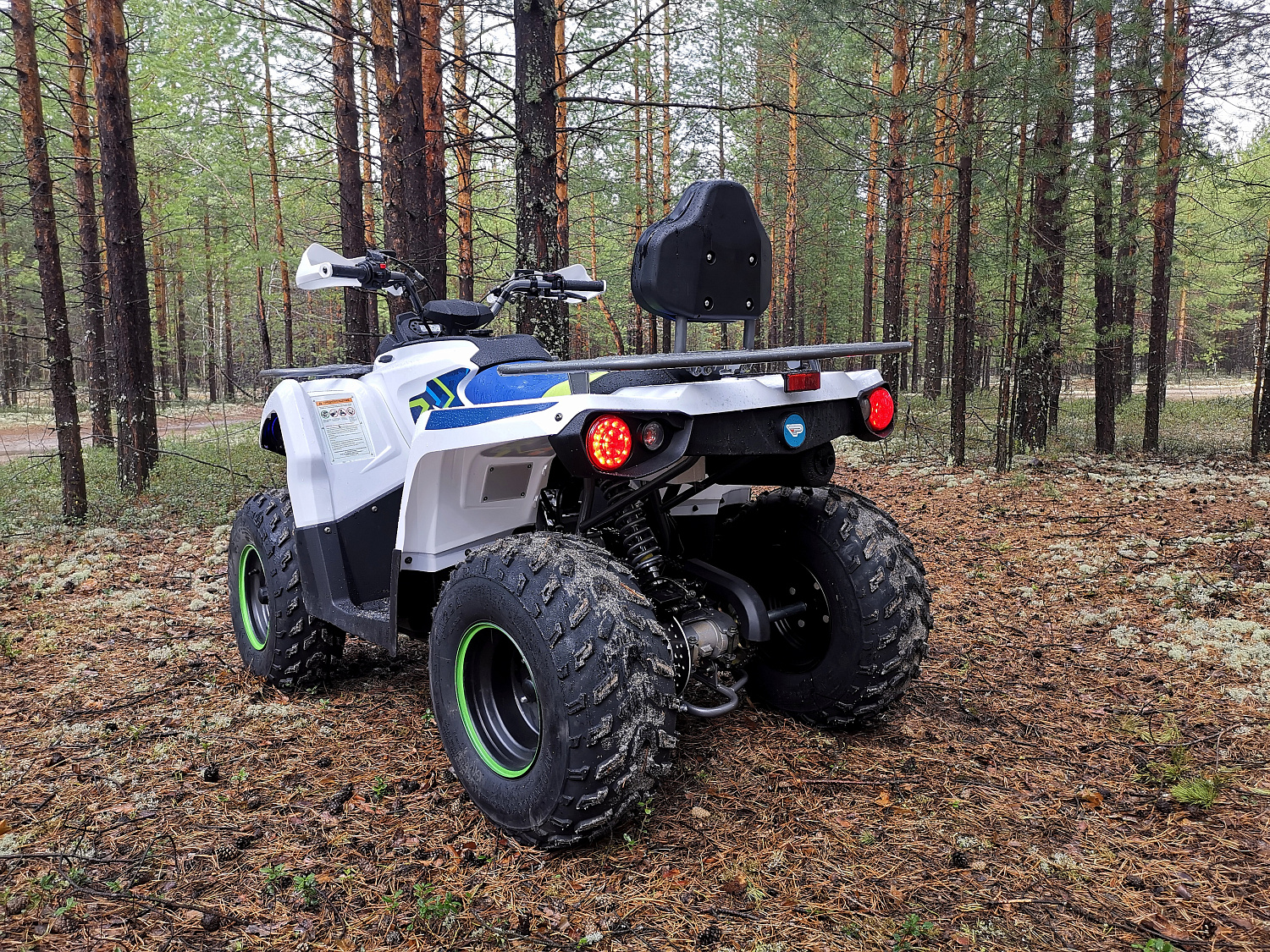 Квадроцикл PROMAX RENEGADE 280 (2025) в Казани