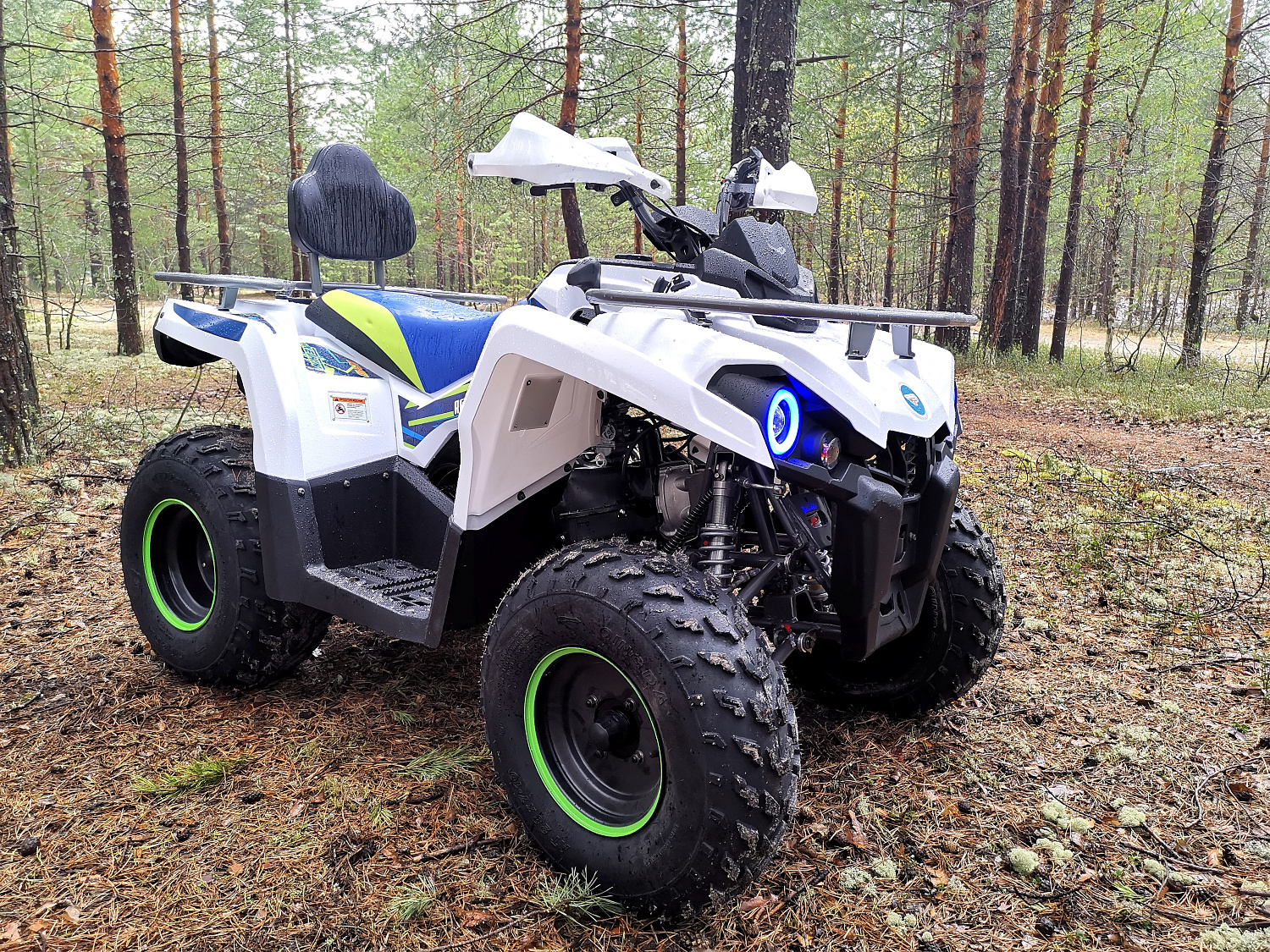 Квадроцикл PROMAX RENEGADE 280 (2025) в Казани