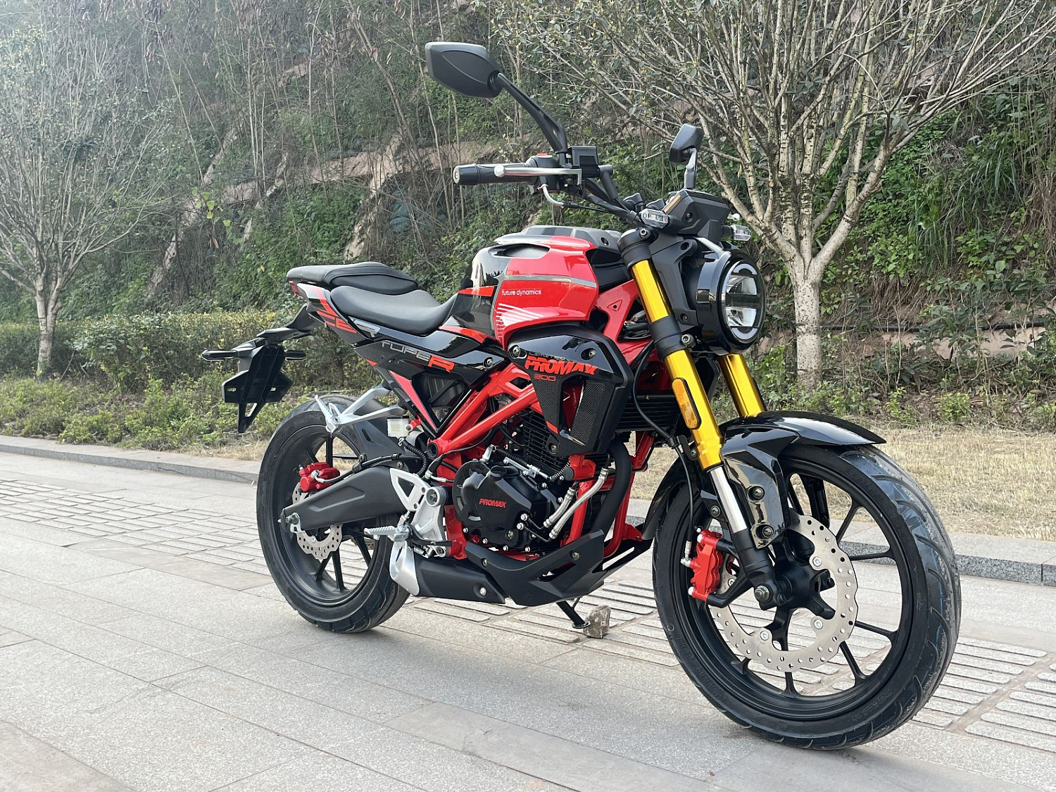 Мотоцикл PROMAX CB300RL (4V, 6G) в Казани