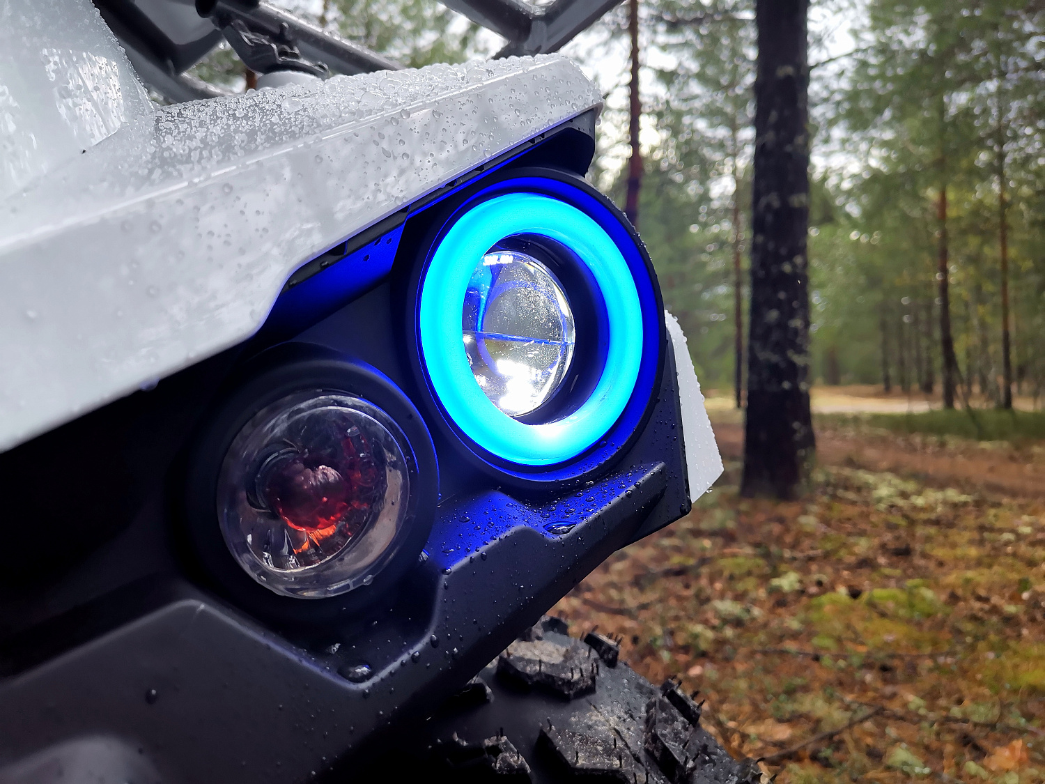 Квадроцикл PROMAX RENEGADE 280 (2025) в Казани