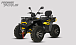 Квадроцикл PROMAX TAURUS 300 MAX-PRO LONG в Казани